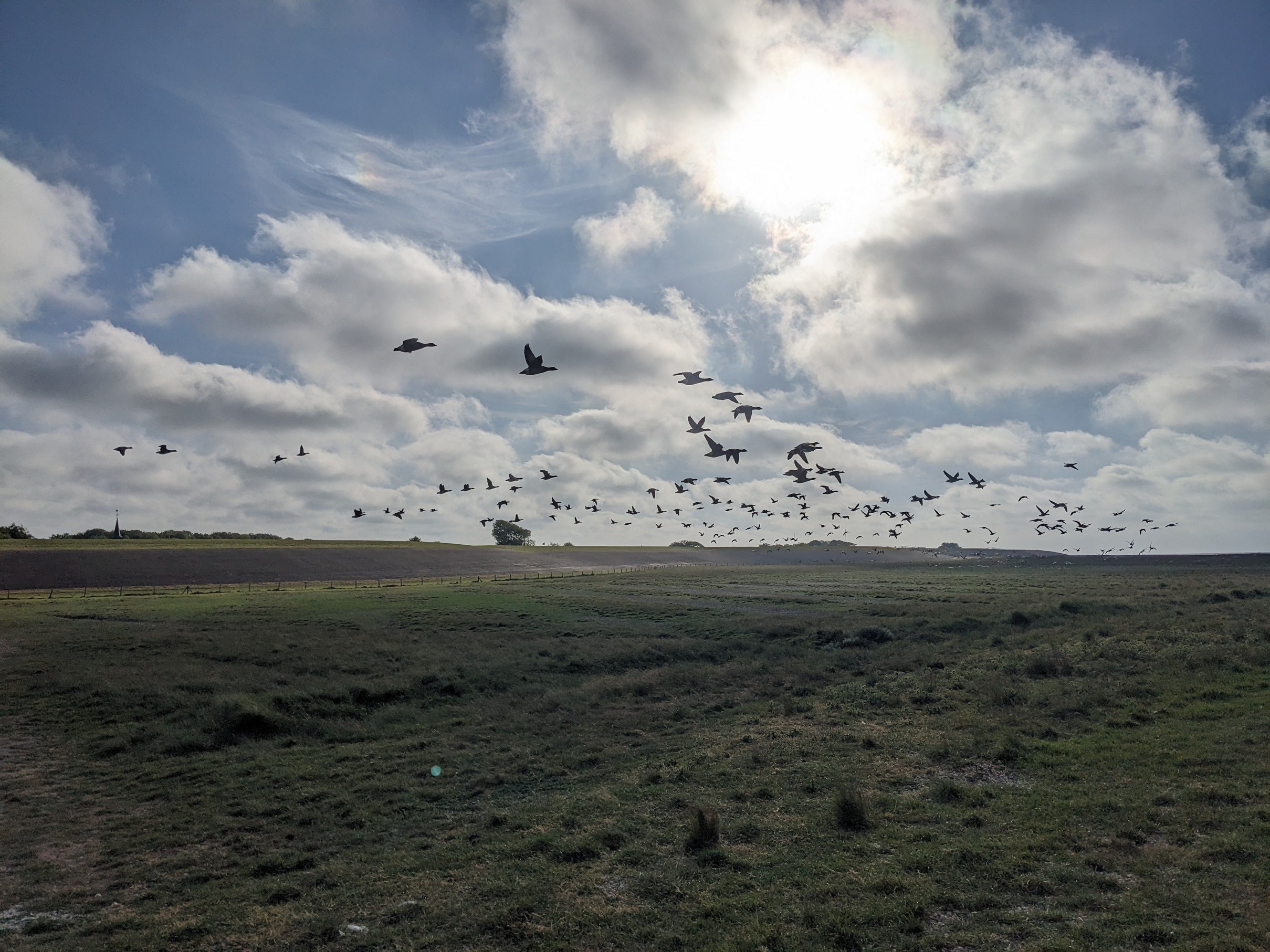 Birdwatching at Lauwersoog, the Netherlands. I Photo: Honza Bartošek.