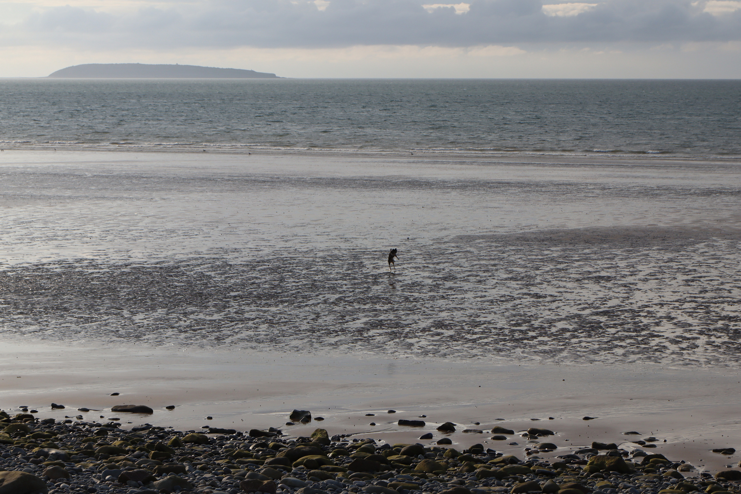 A dog on the beach at Penmaenmawr, Wales | Photo: Honza Bartošek
