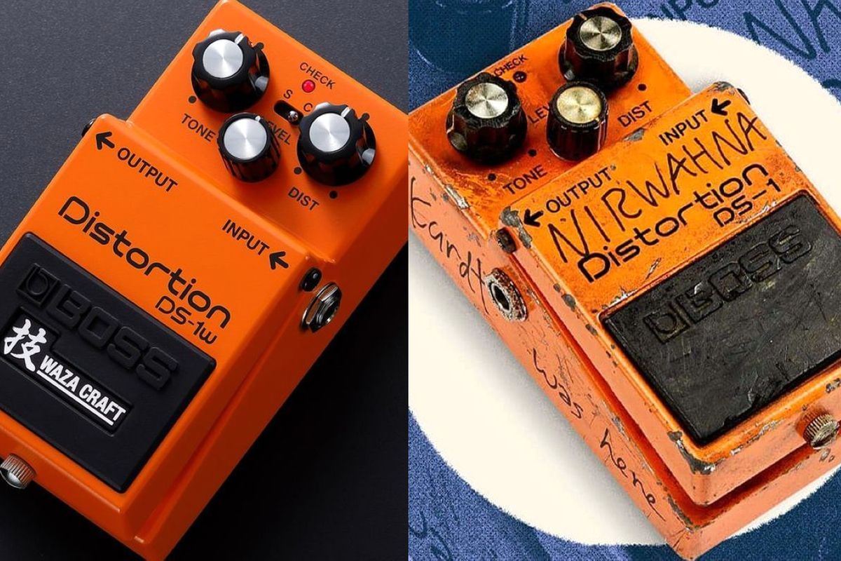 Boss DS-1W and DS-1 "Kurt Cobain“