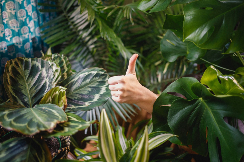 Slap technique relies on the thumb. Everything starts and ends with the thumb | Photo: Katya Austin (Unsplash)