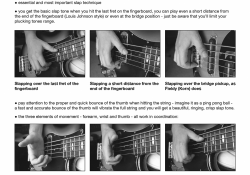 Bass Gym: Essential Slap Bass Grooves examples.