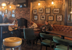Young musicians playing excellent trad music in the Phoenix Bar, Belfast | Photo: Honza Bartošek