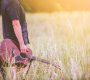 Songwriting retreat: deep woods, fresh air, and a head full of riffs. I Photo: Ben White on Unsplash 