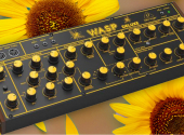The Behringer Wasp Deluxe