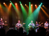 Seed To Tree at Kulturfabrik, Luxembourg | Photo: Creative Commons