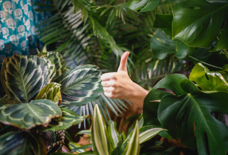 Slap technique relies on the thumb. Everything starts and ends with the thumb | Photo: Katya Austin (Unsplash)